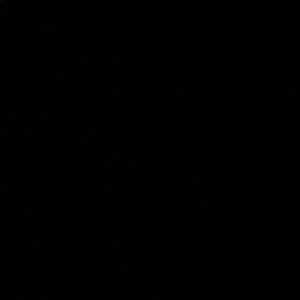 Meet your Posher, Elika